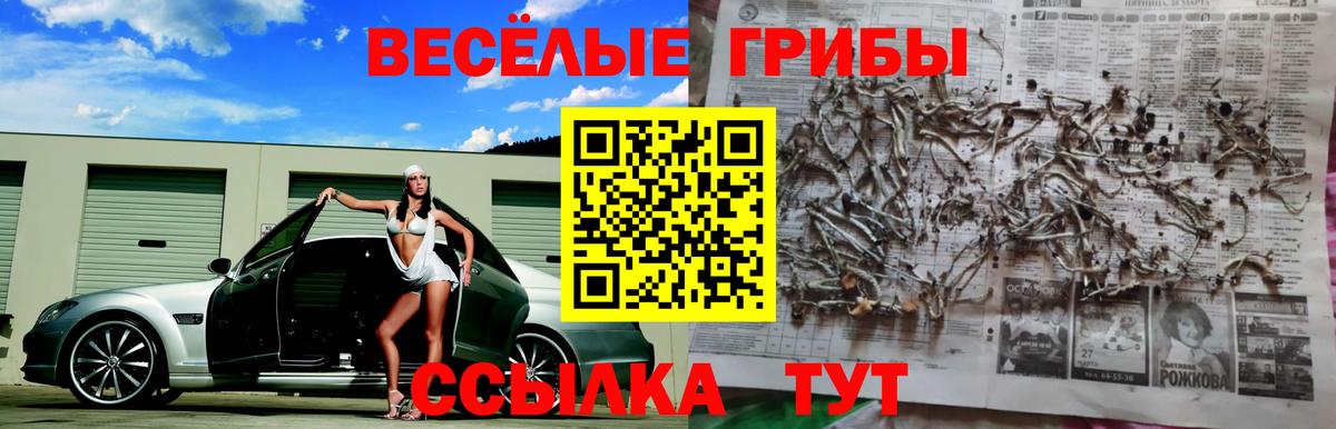 Галлюциногенные грибы MAGIC MUSHROOMS Белая Калитва